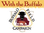 Buffalo Field Campaign